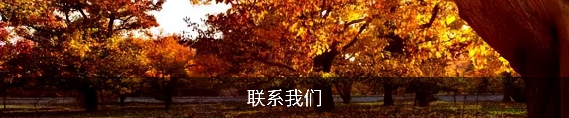 联系我们